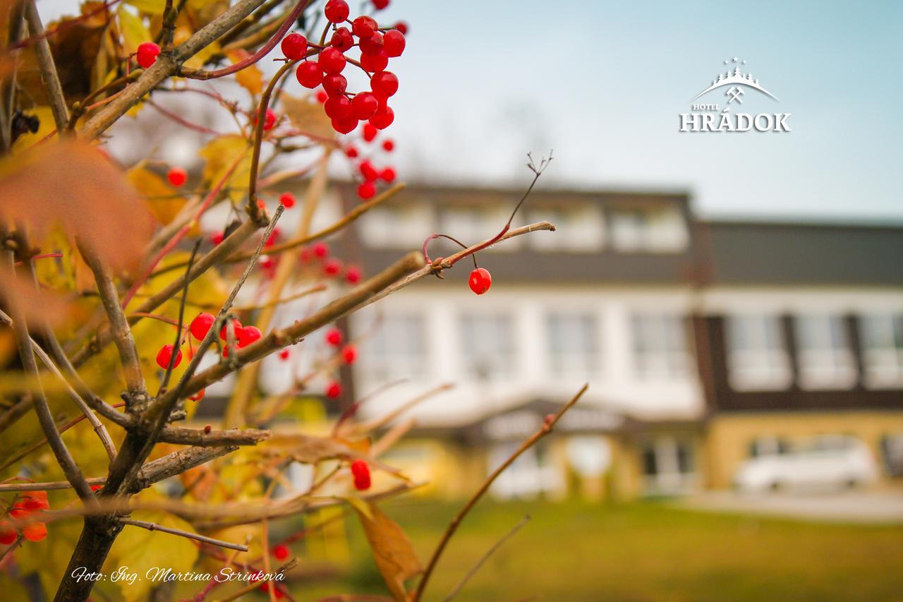 Hotel Hradok Jelsava Exterior foto
